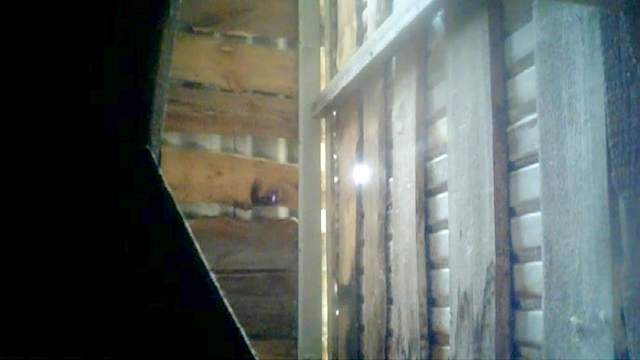 Voyeur scene with a hot pissing