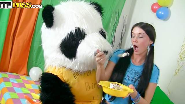 Pigtailed beauty teen is fucking with hardcore panda