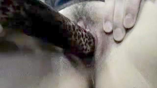 Amateur inserts dildo with animal print in cunt