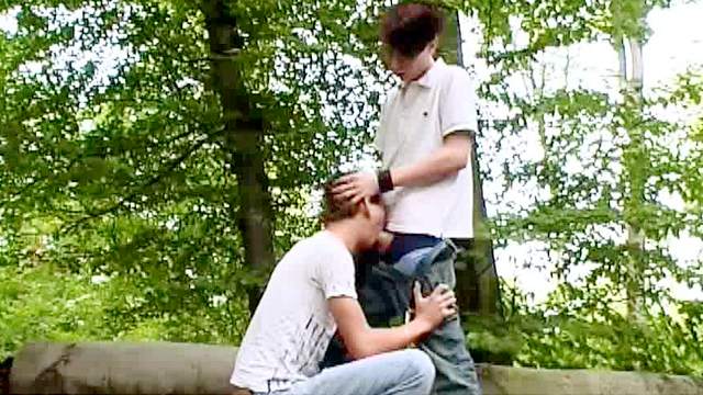 Sweet boys are sucking dicks in the forest
