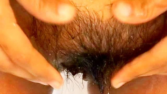 Hairy Asian pussy fucked by big cock