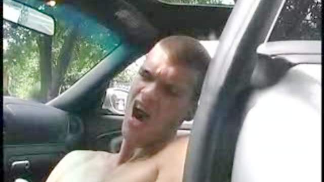 She vigorously sucks cock in the car