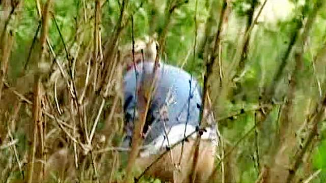 Voyeur piss in the woods is sexy