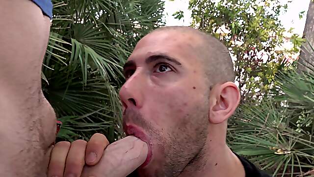 Gay lad sucks cock in outdoor scenes and craves sperm on his face