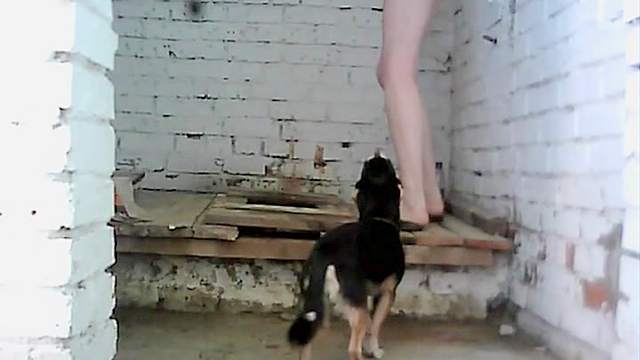 Gorgeous brunette is peeing in front that dog
