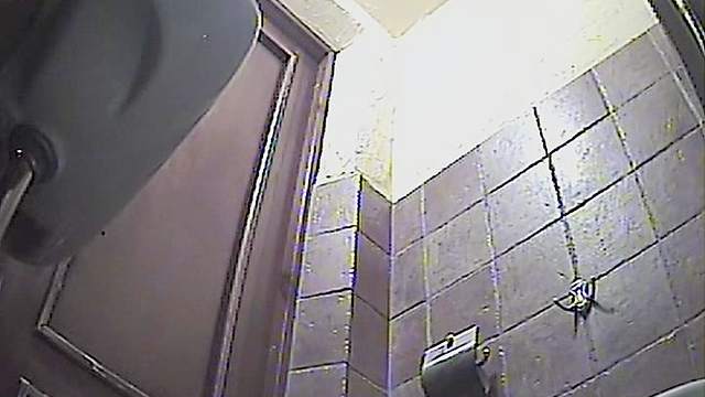 Chubby booty in the amateur toilet