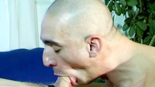 Fabrice is swallowing down dick of Pierre